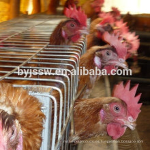 Un tipo de Venta caliente de fabricante de jaulas de pollo en Nigeria, Kenia, Zambia, Zimbabwe, Uganda